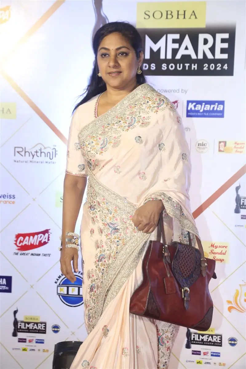 Tollywood Actress at Filmfare Awards South 2024 Red Carpet